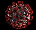 Example category image description